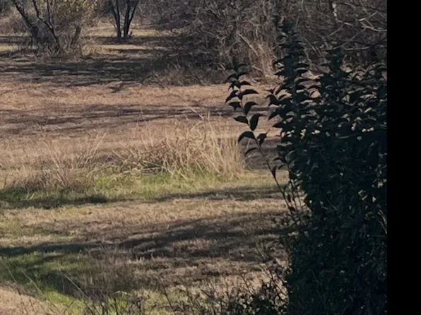 Lanai Dr, Bridgeport, TX 76426