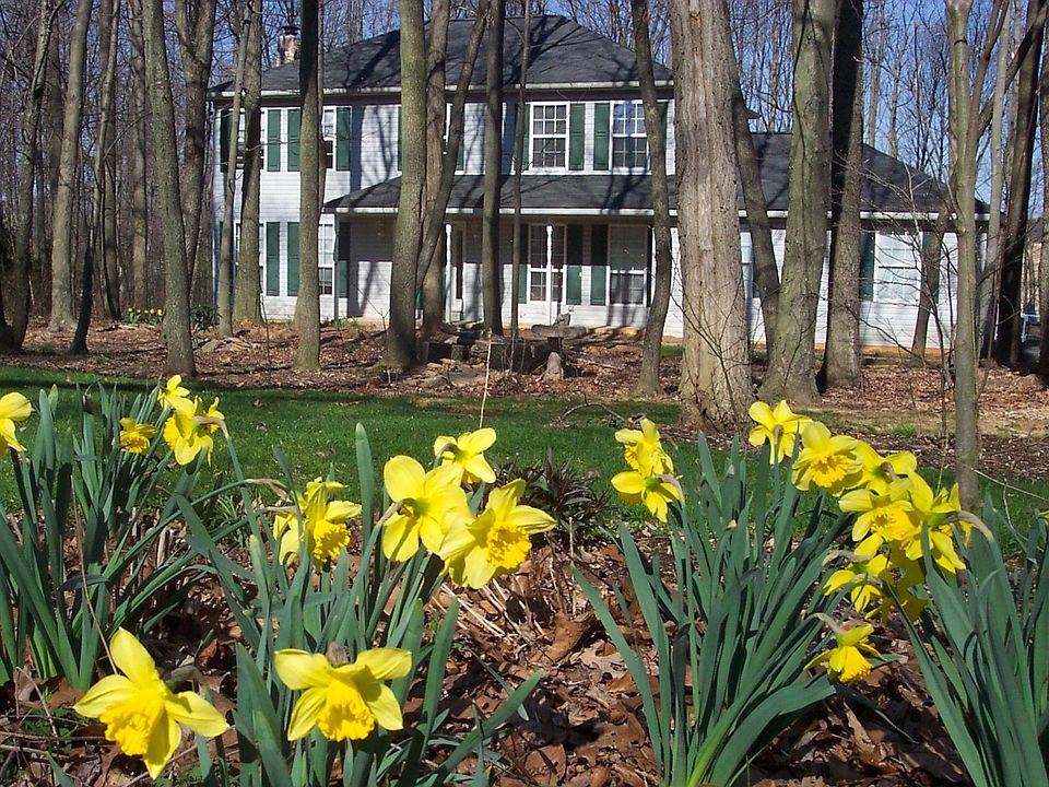 House front and frontyard