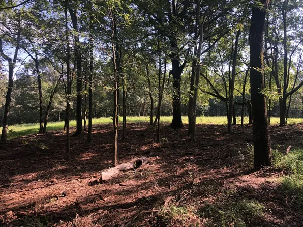 0 Highway 49 W Lot 5, Vanleer, TN 37181
