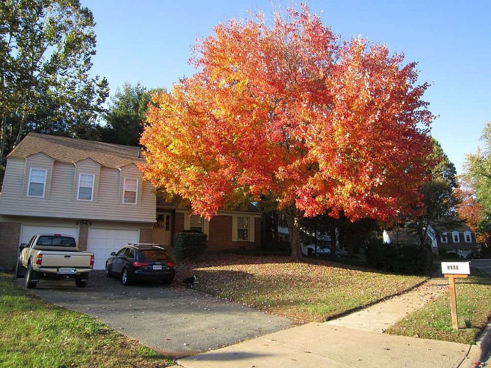1st image of 5069 Queens Wood Dr