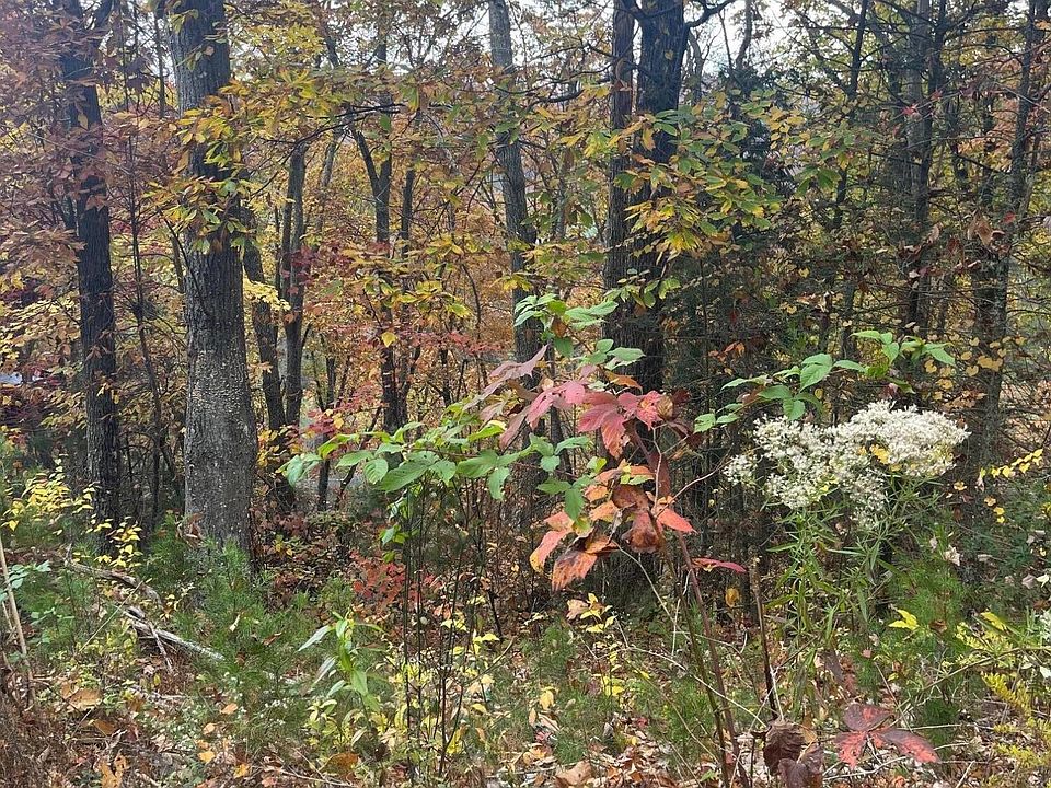 2nd image of 0 Ridgefield Dr Lot 968