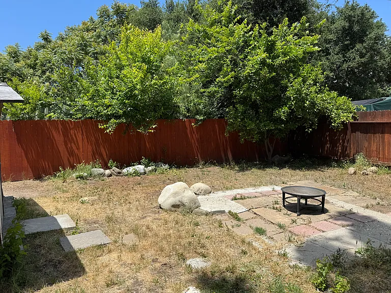 Back yard