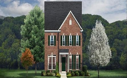 ElevationImage
