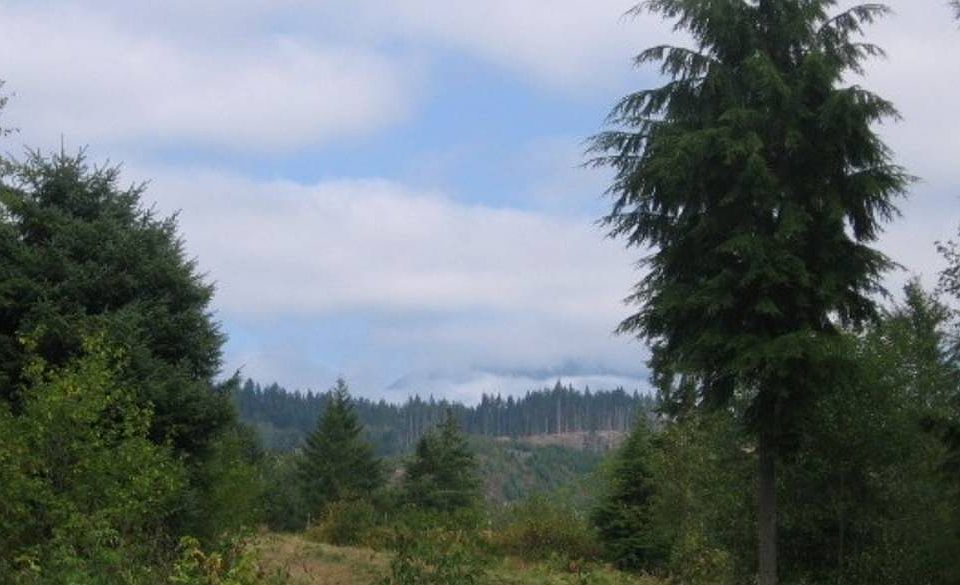 2nd image of XX 224th Ave NE