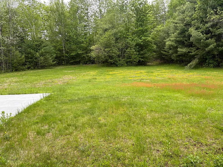 230 White Mountain Hwy #A — Photo 7