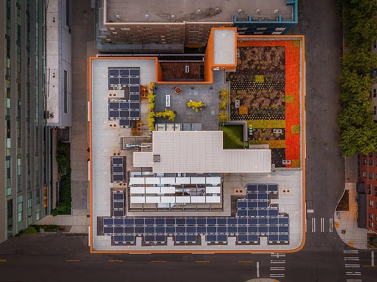 Shoresmith — Photo 15