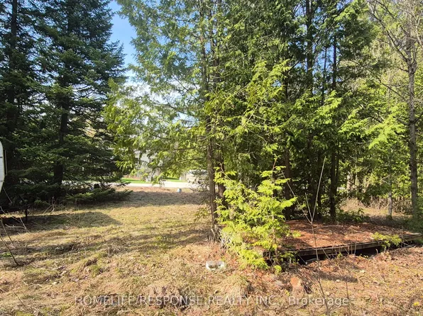 48 Waldweg, Scugog, ON L0B 1B0