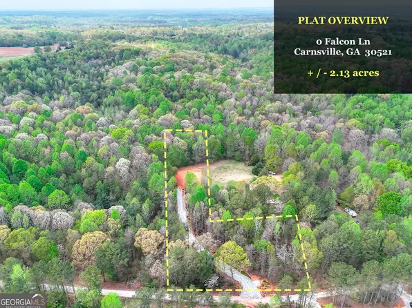 0 Falcon Ln, Carnesville, GA 30521