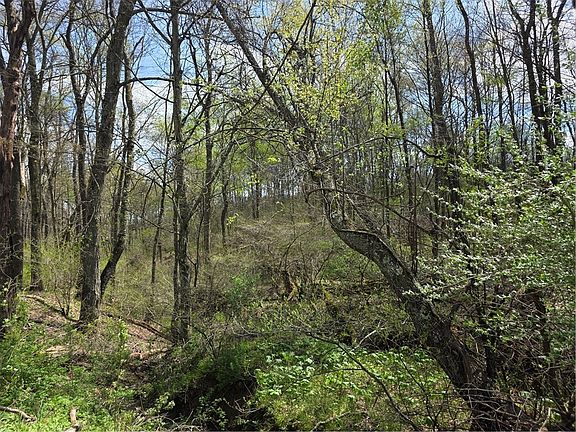 4th image of 242 Walker Rd