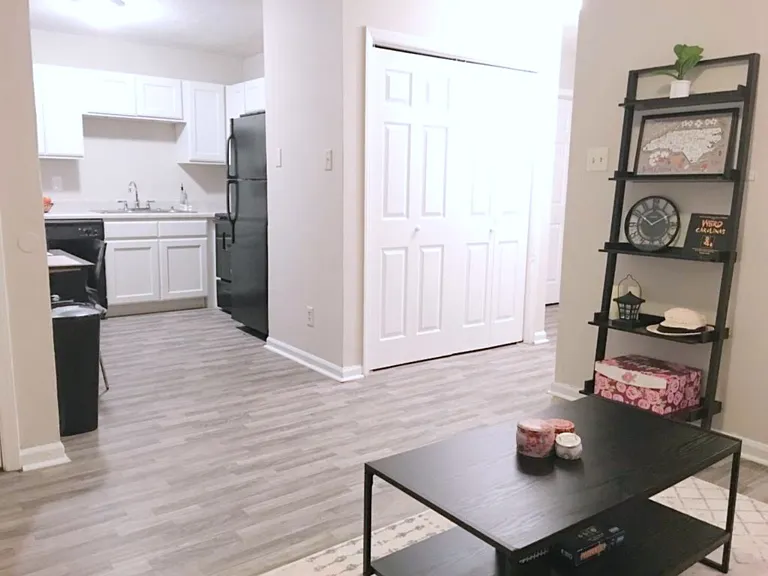 Livingroom, Kitchen & Hallway