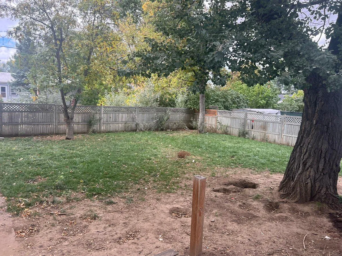 4 bed, 1015 sqft, $1,545 — Photo 3