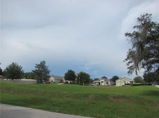 30134 Rainey Rd, Mount Plymouth, FL 32776