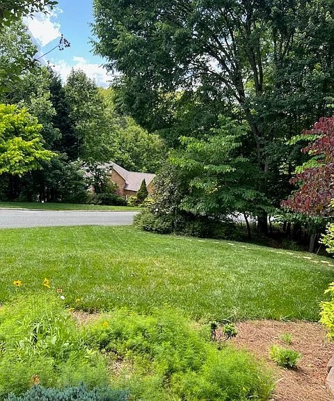 3609 Ridgecroft Dr — Photo 24