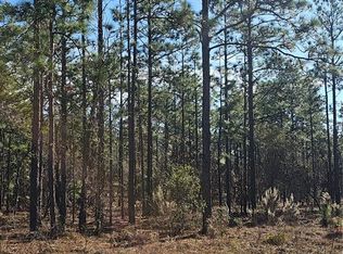 SE 136th Ter LOT 21, Dunnellon, FL 34431