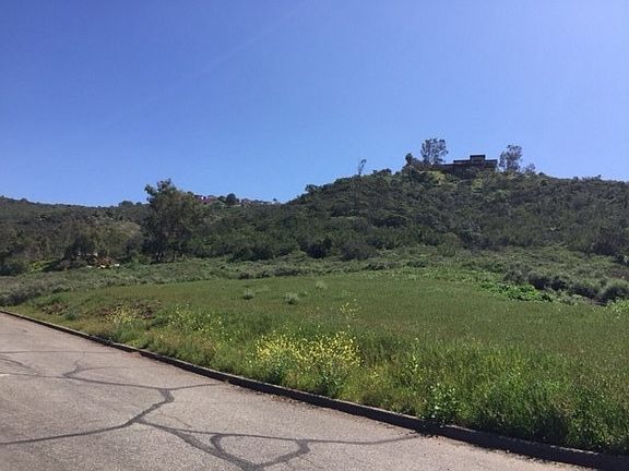5th image of Olive Dr