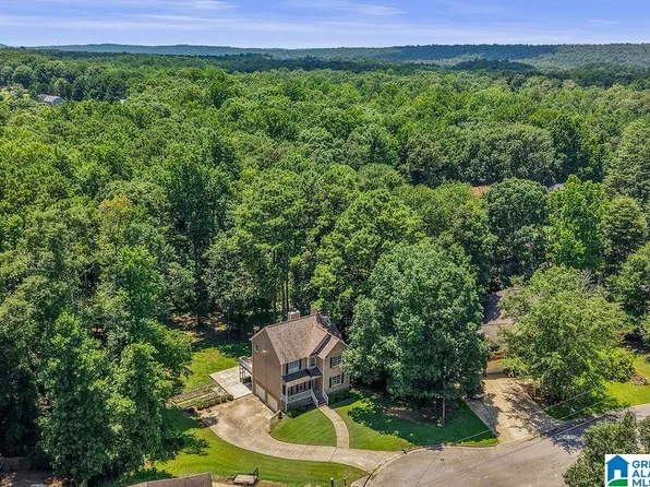 540 Hunter Hills Way, Chelsea, AL 35043
