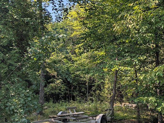 2nd image of 4859 Opeongo Rd