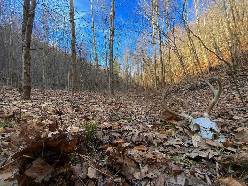 Real estate listing image