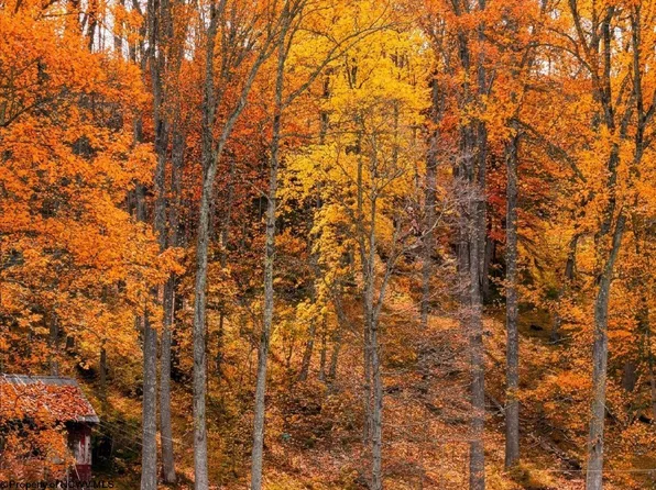 99 Crystal Lake Rd, West Union, WV 26456