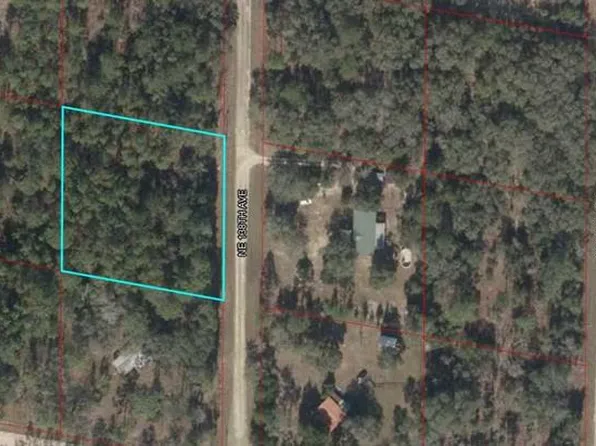 NE 138th Ave, Williston, FL 32696