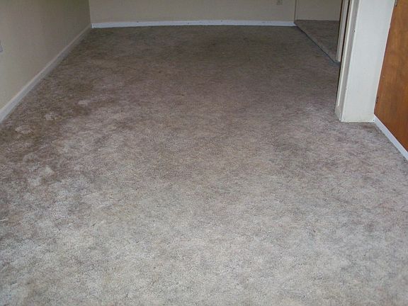 New carpet and paint in living/sleeping area