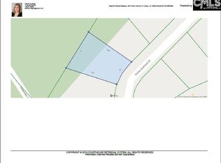 209 Pointe Overlook Dr, Chapin, SC 29036