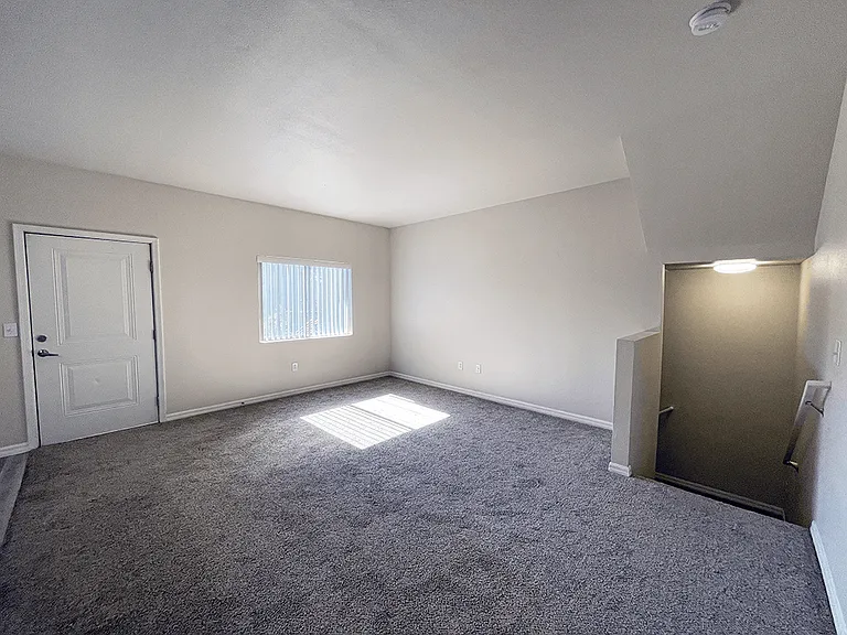 Cozy, Plush Carpeting