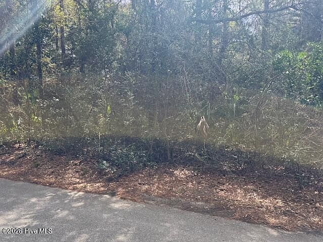 2nd image of 4 Dowitcher Trail