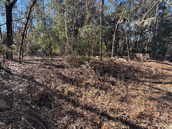 4th image of 131 SPRING LAKE Drive