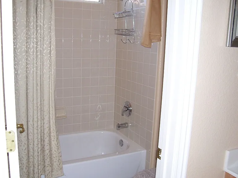 3316 Lacebark Pine St — Photo 9