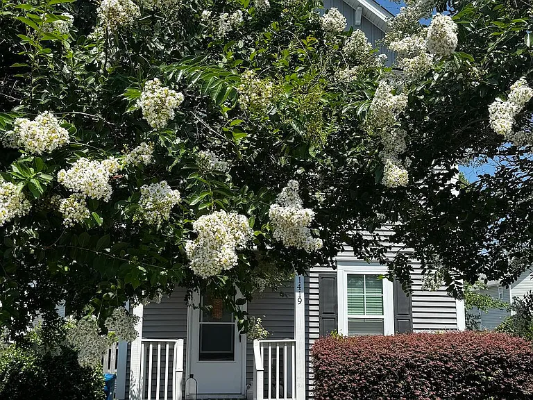 1419 King St — Photo 1