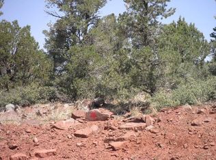 1006 W Falcon Lookout Ln, Payson, AZ 85541