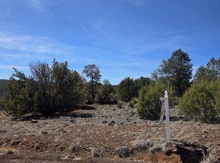 6 Co Rd, Vernon, AZ 85940