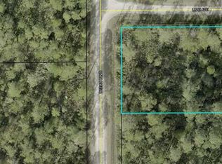 2311 Beech Blvd LOT 1, Bunnell, FL 32110