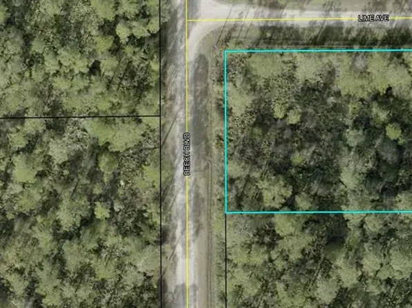 2311 Beech Blvd Lot 1, Bunnell, FL 32110
