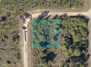 407 Fernwood Ave S, Lehigh Acres, FL 33974