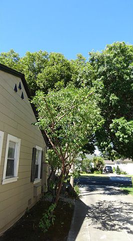 1st image of 2030 Glen Una Ave