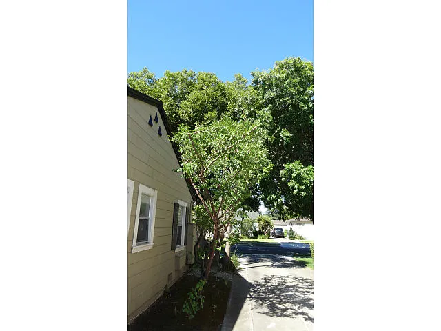 2030 Glen Una Ave photo 1