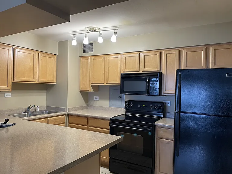 6030 N Sheridan Rd #1310 — Photo 13