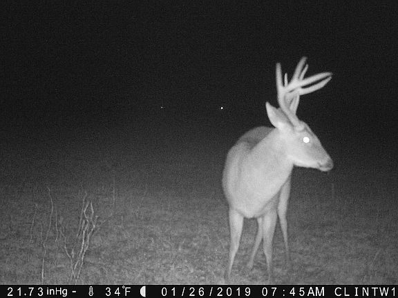 3rd image of 391 Highway 577