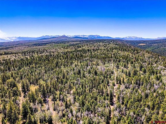 5th image of 15283 Spring Creek Trail