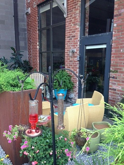 Amazing patio steps to the pool