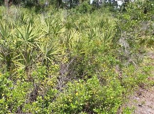 50 Erma Ave, Debary, FL 32713