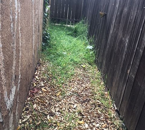 5th image of 2006 Argyle Ave #11489684