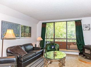 1331 Vine St, Aspen, CO 81611