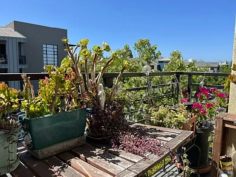 800 N 8th St #309 — Photo 11