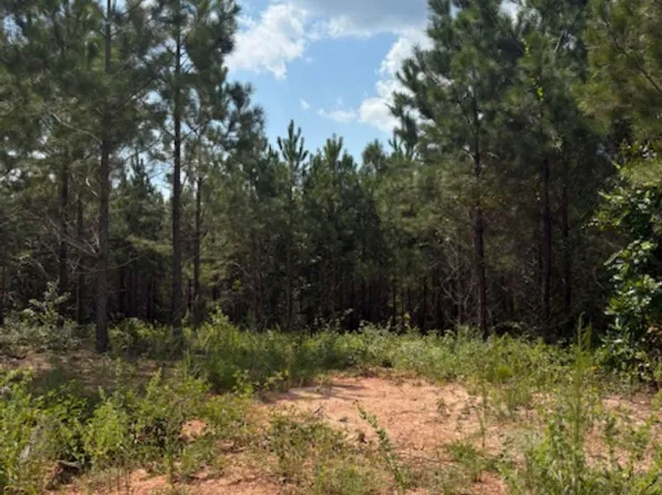 County Road 472 #2, Clanton, AL 35046