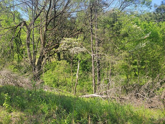 4th image of 125 Point Oak Dr