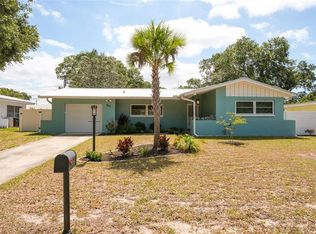 667 Vine Ave, Dunedin, FL 34698