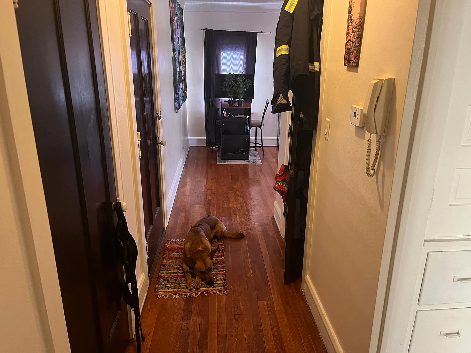 1 bed, 850 sqft, $1,175 — Photo 2